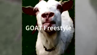 GOAT Freestyle/A-t(DO$$ × 4ka)