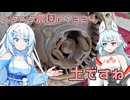 2025年4月8日　農作業日誌P1324　明日は市場が休みなので頑張って管理作業をしよう！
