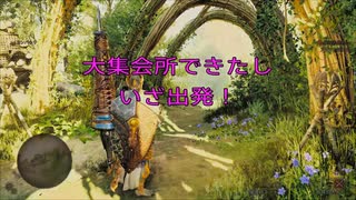 【MHWilds】あれ？今何かおかしいところなかった…？【大集会所】