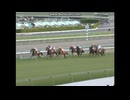 2010 ニュージーランドＴ(GII)　サンライズプリンス