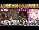 反対派に苦戦しながらも水中トンネルをほぼ完成させるルーナ姫【姫森ルーナ/ホロライブ切り抜き】