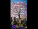 【怖いぃショート】桜と墓地の囁き