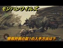 モンハンワイルズ　歴戦狩猟の証１の入手方法は？　武器・防具素材集め入手方法　＃４５５　【モンスターハンターワイルズ】