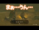 ゼルダの伝説　ティアーズ オブ ザ キングダム　実況プレイPart337