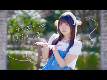 【めこた。】チーズケーキクライシス 踊ってみた【春！】