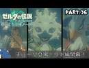 『11種の縛りプレイ＃36』ノーダメージで炎の剣一本で雪エリアに突撃する全裸リンク【ゼルダの伝説ティアーズオブザキングダム/ゆっくり実況】