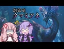 【MHWilds】狩猟笛しか使えないゆかりのタマミツネ狩猟【VOICEROID実況】