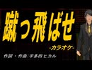 【ニコカラ】蹴っ飛ばせ【off vocal】