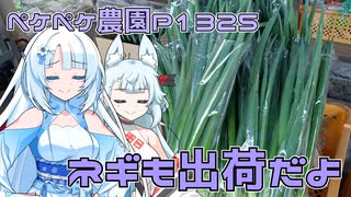 2025年4月9日　農作業日誌P1325　ネギの初出荷だけど・・・どれぐらい収穫したらよいかな？