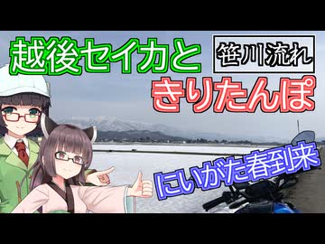 【VOICEPEAK車載】越後セイカときりたんぽ【にいがた春本番】