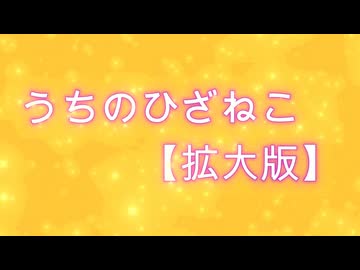 【拡大版】ポコちゃんちの不思議な癒しを持つひざねこたち