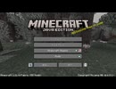 【マインクラフト】一乙したら終了エンドラ討伐RTA11【Java版】