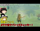 【ゆっくり実況】初めてのティアーズオブザキングダム！ part259【ティアーズオブザキングダム】