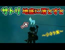全て奪われしゴーレム･サトリを地底に落とすと写真が！？など小ネタ集【ティアキン TotK】裏技 バグ 検証 ゆっくり実況 glitch