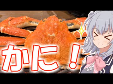 りっかのプチ旅行「カニざんまいな海の京都旅！」【小春六花】