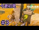 友達のところに行きたいなァ【ゼルダの伝説 ティアーズ オブ ザ キングダム】Part3