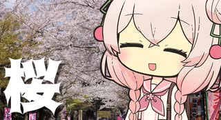 しゅおりり情報局～岐阜県でお花見しましょう～