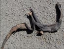 7. 春の新生活