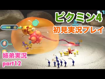 □■ピクミン4を初見実況プレイ part12【姉弟実況】