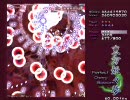 初心者？による、東方妖々夢Ex　初クリア動画