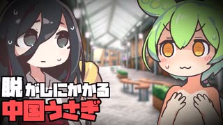 脱がしにかかる中国うさぎ【VOICEVOX劇場】