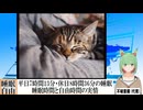 【動画News】平日7時間13分・休日8時間36分の睡眠…睡眠時間と自由時間の実情(2024年公開版)(2025/04/17)