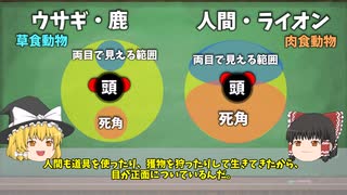 【ゆっくり解説】なぜ『目』という最重要器官が2つしかないのかー簡単にわかる進化論ー