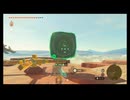 #16『ゼルダの伝説 ティアーズ オブ ザ キングダム』【初見プレイ】
