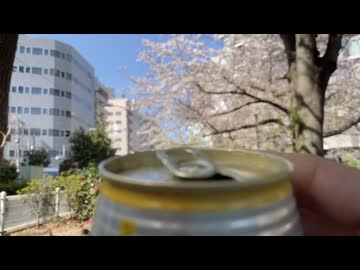 ハイボールお花見さんぽしてみた（東京）