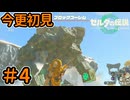 そらじまをまもるご【ゼルダの伝説 ティアーズ オブ ザ キングダム】Part4