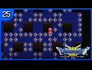 【DQ3】初見でドキドキ勇者する！【25終】