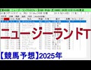 【競馬予想】2025「ニュージーランドT(GⅡ)」