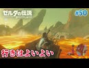 【ゼルダの伝説BotW】初めてのブレワイ！折れない心で未知の世界へ！#50【実況】