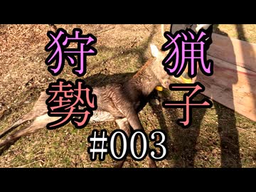 狩猟勢子動画＃003　(結月ゆかり＆中国うさぎ解説)