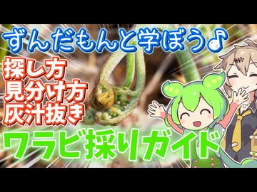 【GWの行楽にピッタリ】ずんだもんと行く天然ワラビ採り