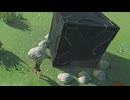 【ブレワイ】依頼を受けて、コログ出現ポイントに鉄箱を設置してみた【ドリカラ】【ボイスピ実況,ゼルダの伝説,ブレスオブザワイルド,BotW,バグ,検証 】