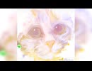 「野獣先輩」で猫を描いてみた