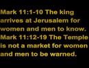 Aeve TMDC: Episode 42 - Mark 11 to 12. The church is not a market and the neighbors dog part 1.