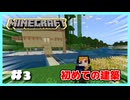 【実況】圧倒的！初心者マイクラ大冒険物語✨＃３『家を作ってみよう！』