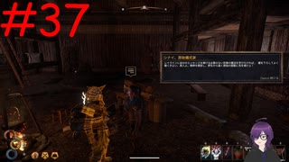 【実況】常に死と隣り合わせの過酷な世界を生き抜く【Outward Definitive Edition】part37