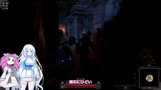 Dark and Darker へぼ忍者でも宝探ししたい その３７【めた雪実況】