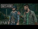 荒れ果てた世界を生き延びろ。【DAYS GONE実況part29】