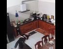 意味不明な中国人