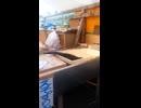 生きのいい魚