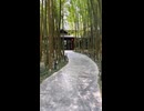 日本式庭園あり　ねこえもんCafe　タイ　チェンマイ