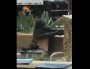 禁煙場所で隠れてヤニ吸うやつ