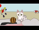 まちがいさがし、アメリカンショートヘア A