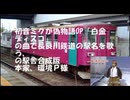 【長良川鉄道】白金ディスコの駅舎合成を3つ連続で流してみた