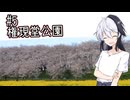 ふらふらフォトライフ#5　権現堂公園