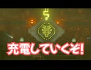 ゼルダの伝説　ティアーズ オブ ザ キングダム　実況プレイPart341